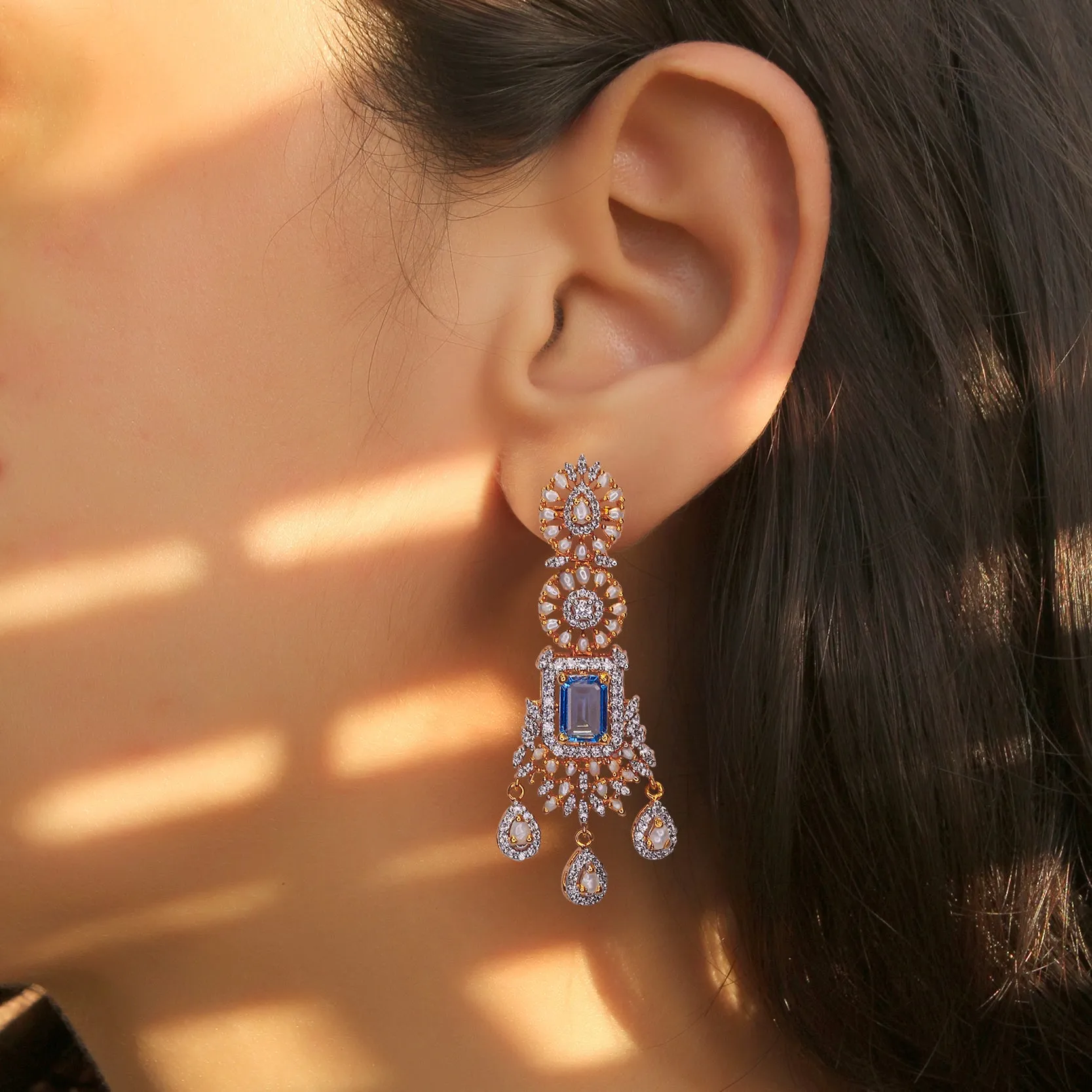 Earrings - E1385